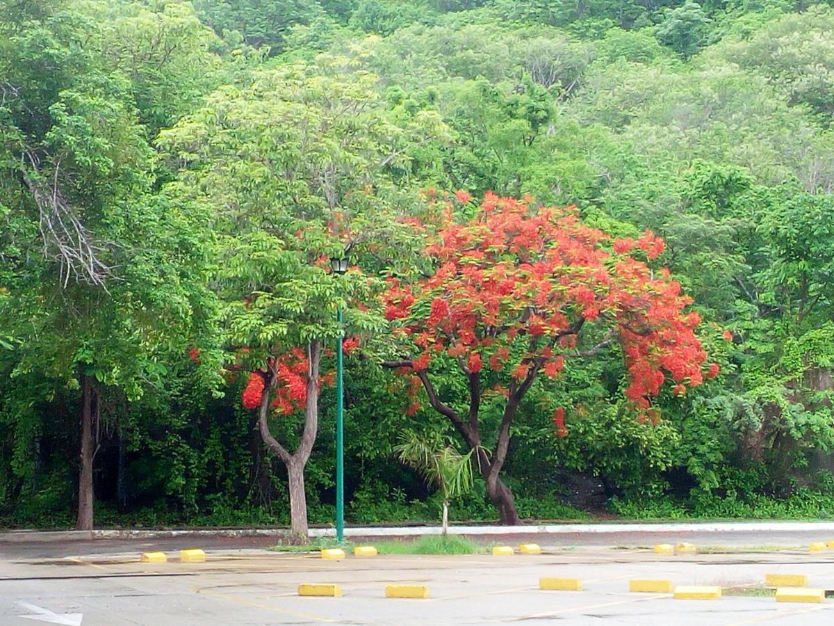 Camino Al Mar Διαμέρισμα Santa Cruz Huatulco Εξωτερικό φωτογραφία